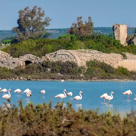 Casa Tulipano 1 Sx A 200 Mt Dal Mare Di Torre Colimena